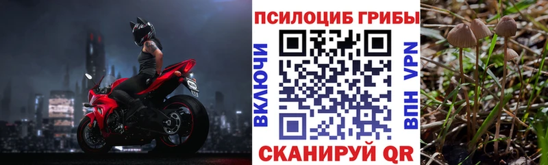 Купить где  Балаково  Галлюциногенные грибы мицелий 